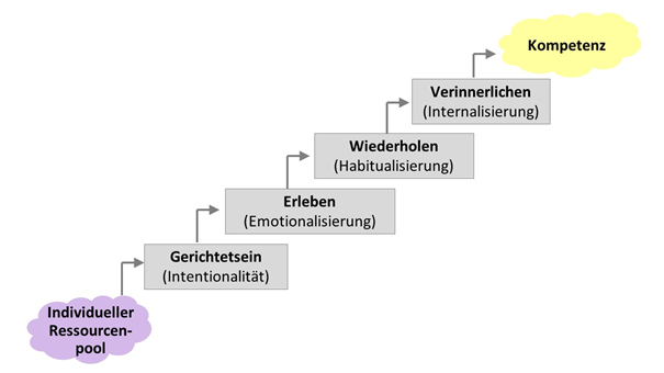 Kompetenz als Ergebnis eines mehrstufigen Prozesses