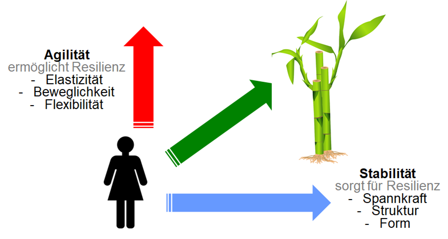 Die „Bambus“-Metapher für Resilienz