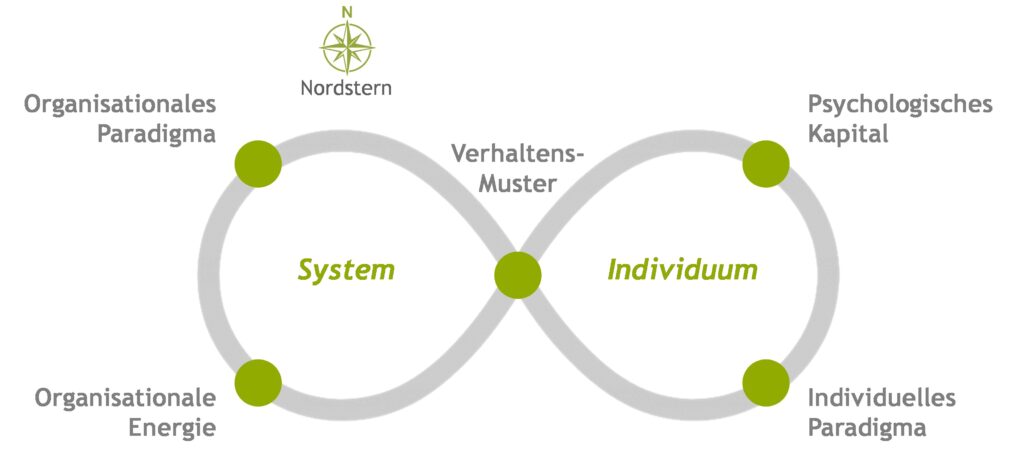Der OC Loop verdeutlicht die Ansatzpunkte von Organisations-Coaching